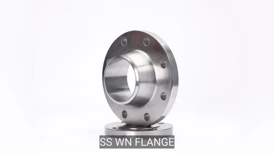 Stainless Steel Weld Neck Flange Pn-16 DIN 316L Size 4"